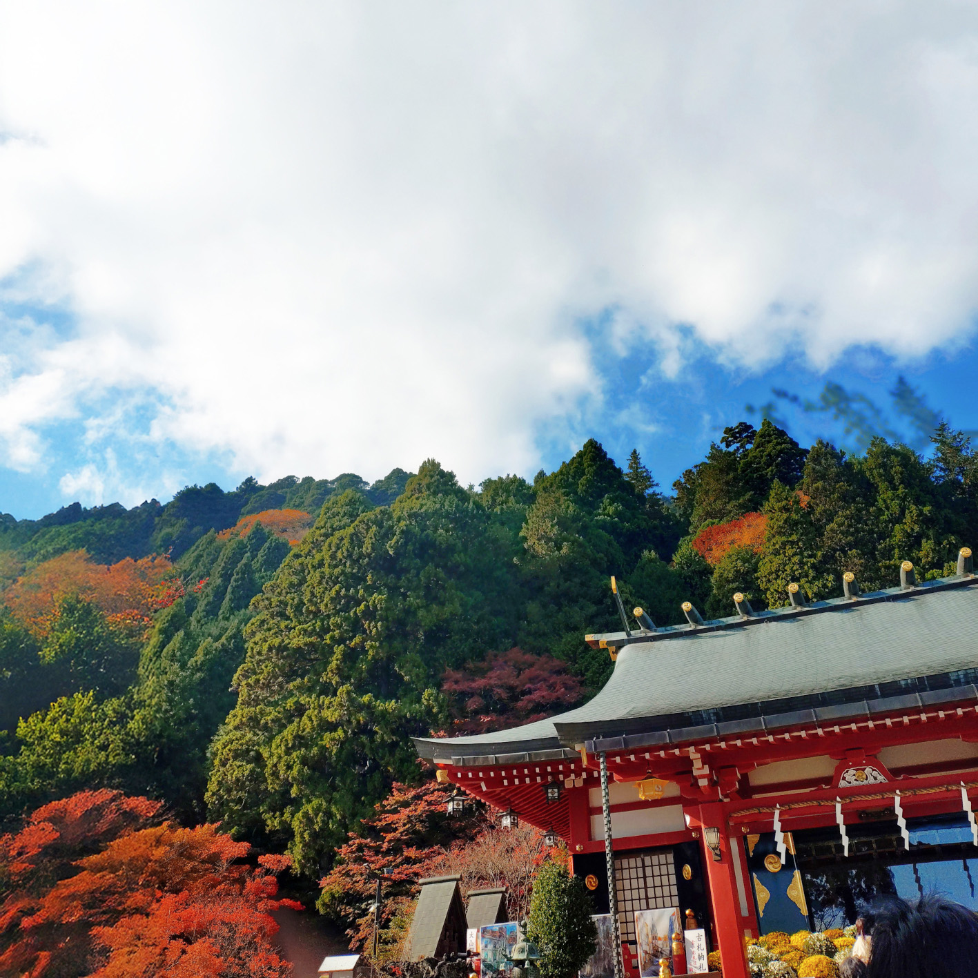 大山詣りに行ってきました