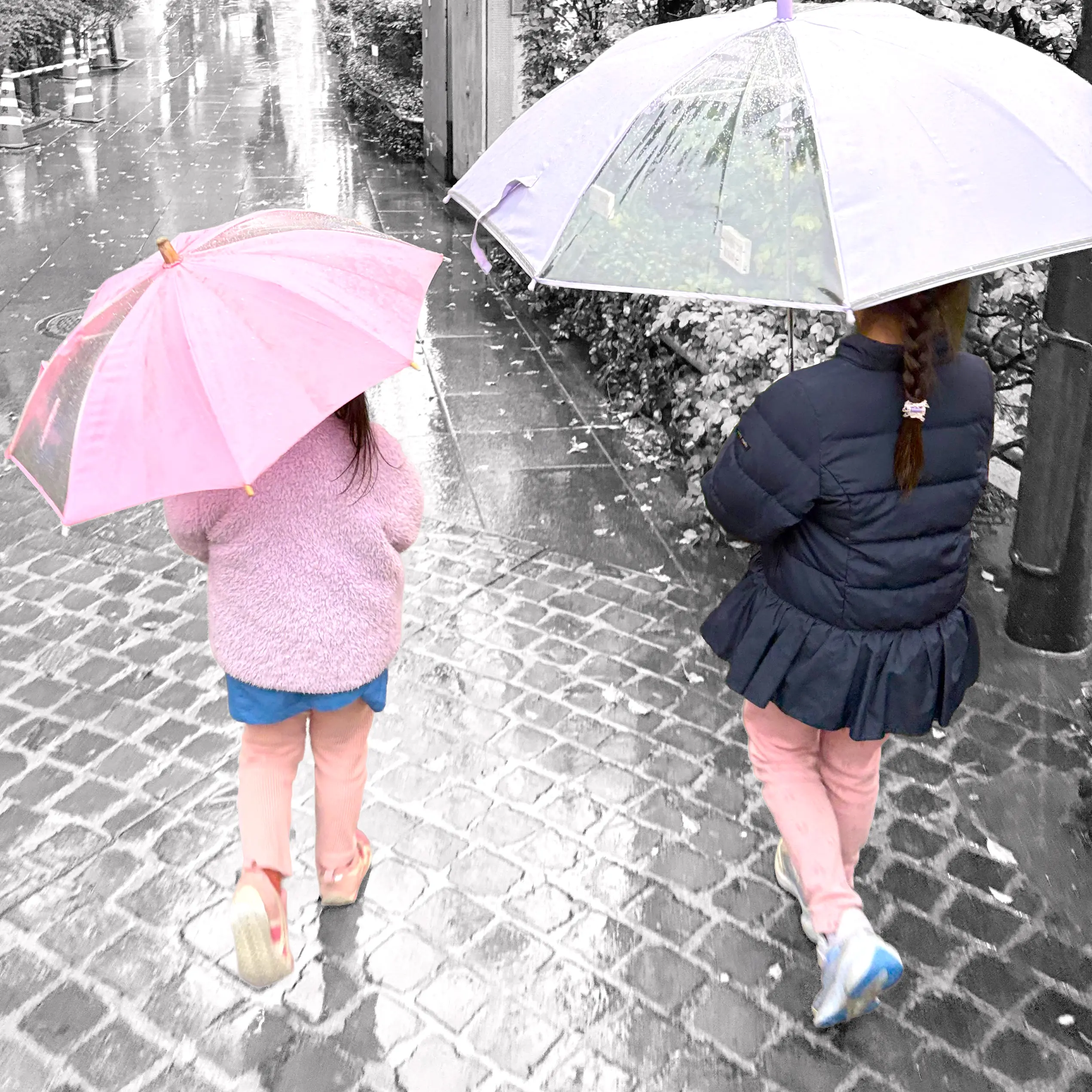 からかさに 隠れて見たる 娘かな