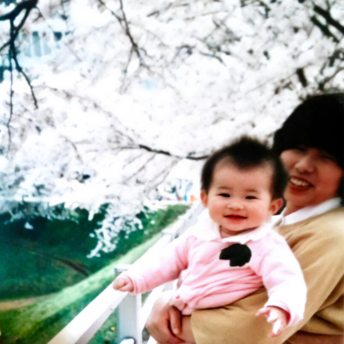 古今東西を自在に読む講釈師　松林伯知（中編②）